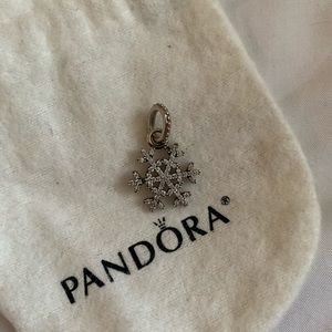 ❄️Brand New Pandora dangling charm